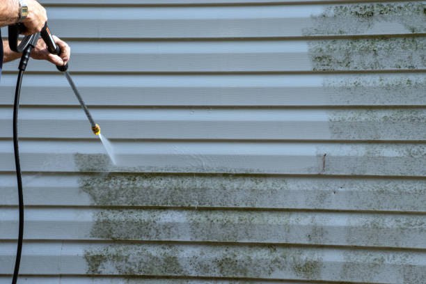 Best Siding for Commercial Buildings  in Carencro, LA