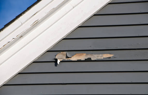 Best Custom Siding Design  in Carencro, LA